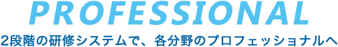 プロフェッショナル